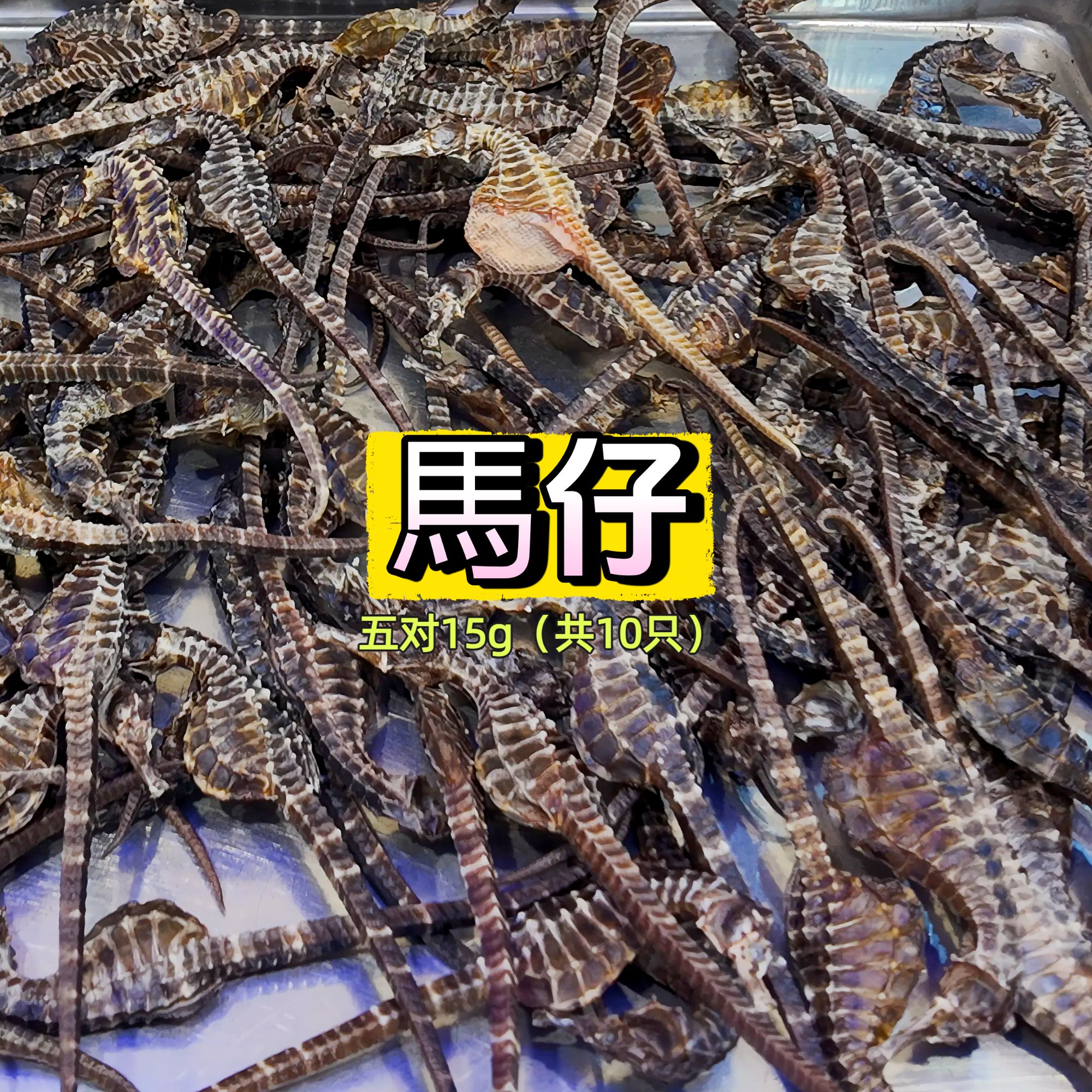 【正品】绅蓝 海干货馬马仔五对10只（3gx5份）煲汤海龙干货纯天然