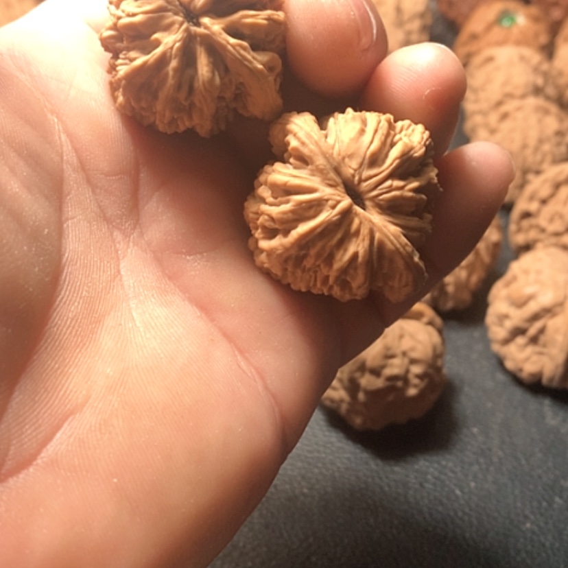 【闪购商品】甲*哥虎头