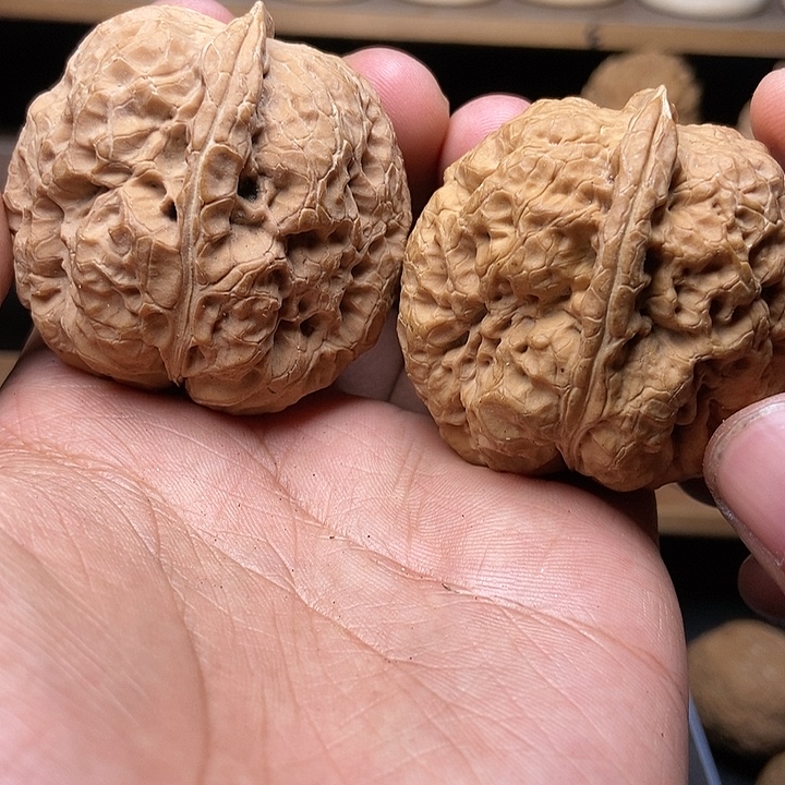 文玩核桃吊坠卧龙金蟾