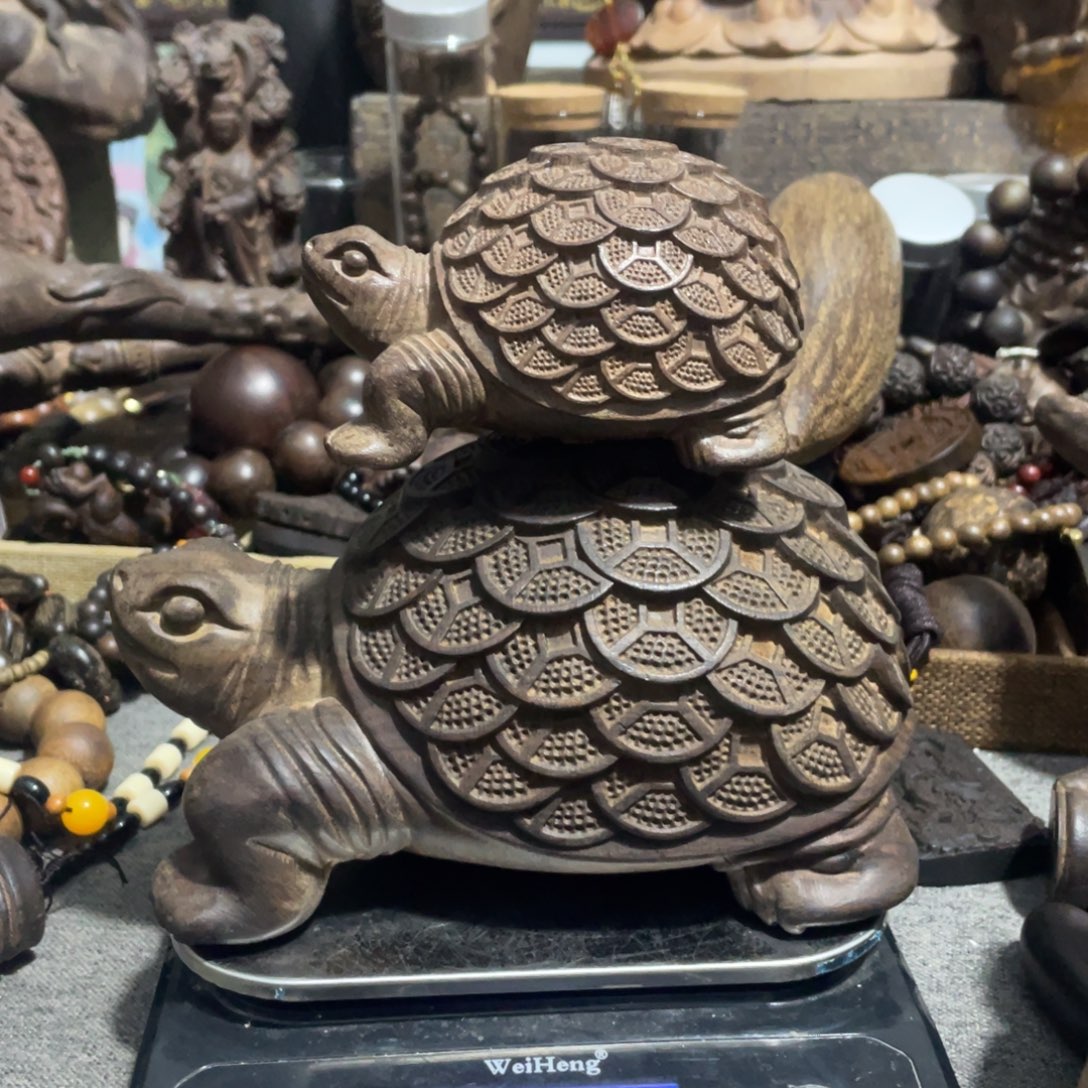 木欢迎加入直播间