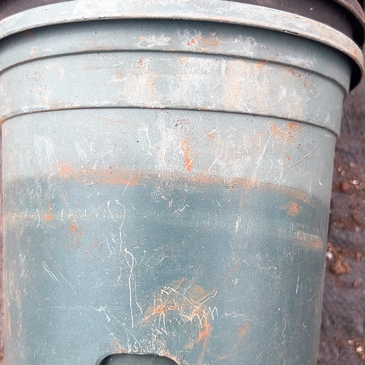 塑料口径19高度20绿加仑一组5个