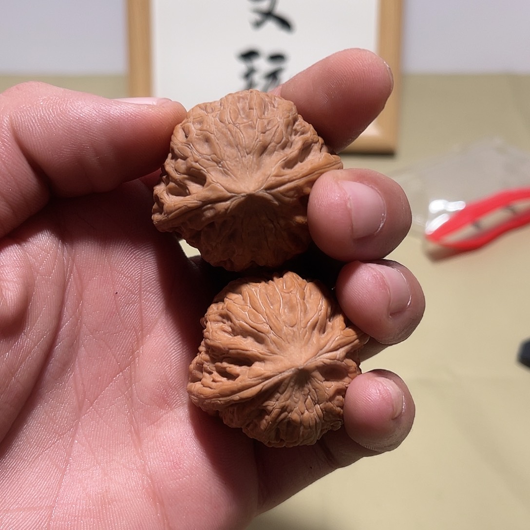 安***祥大叶紫檀（黑酸枝木类）