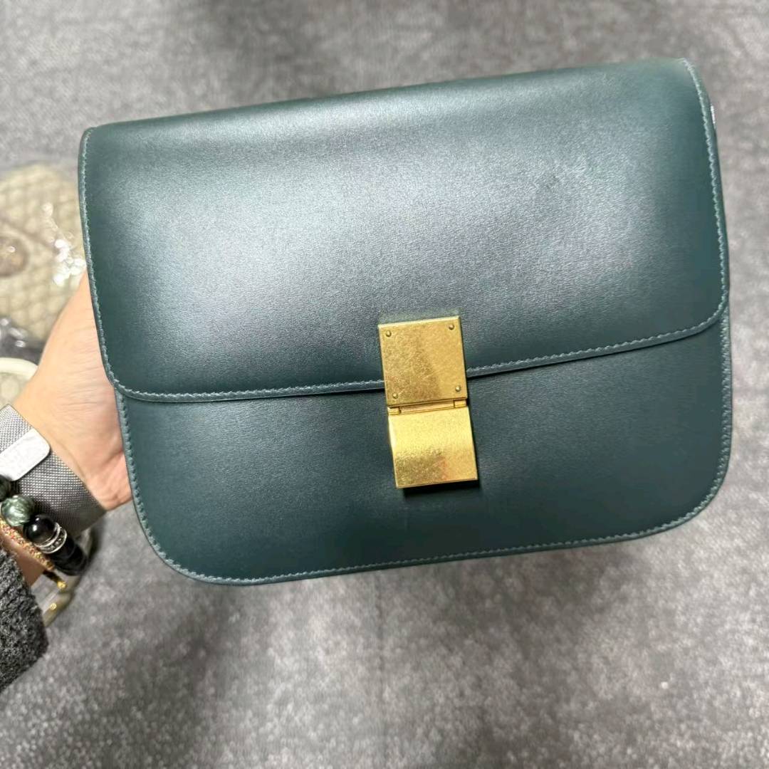 95新 Celine/思琳 小野专属/单肩包/DY8849