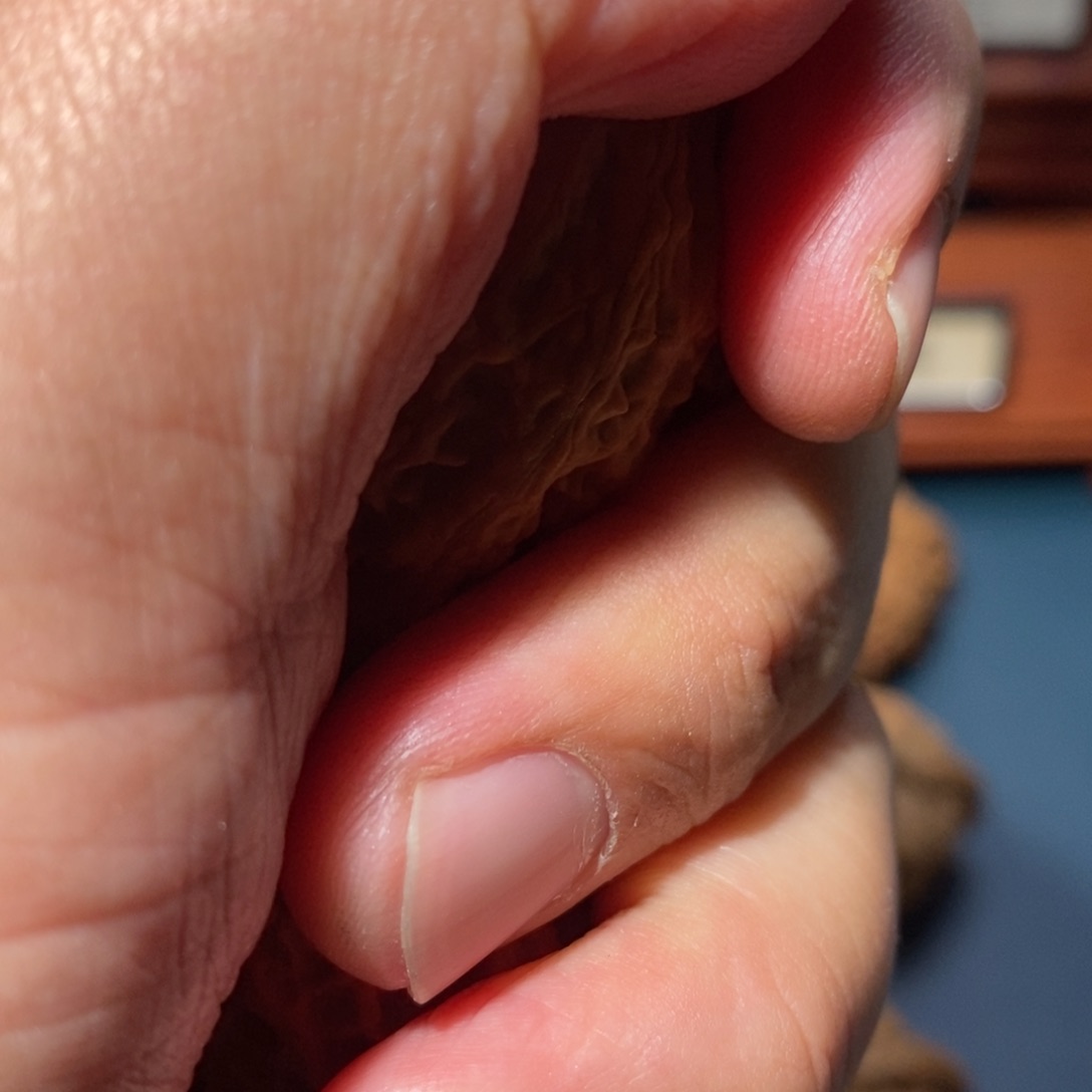 文玩核桃把件Q***q核桃