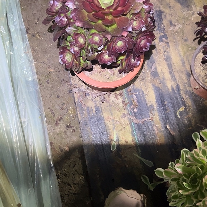 法师链接不售后139