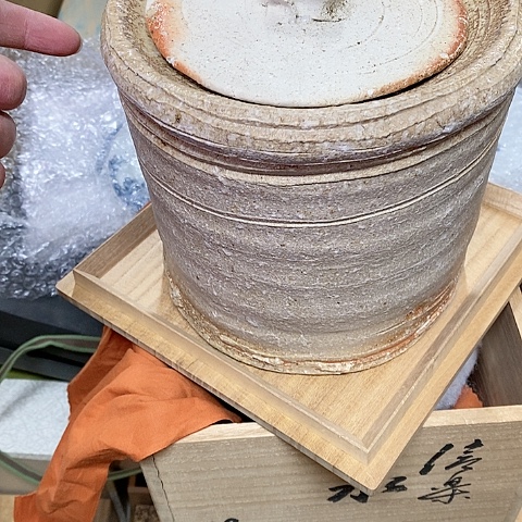 紫砂哈哈哈哈哈哈哈哈哈