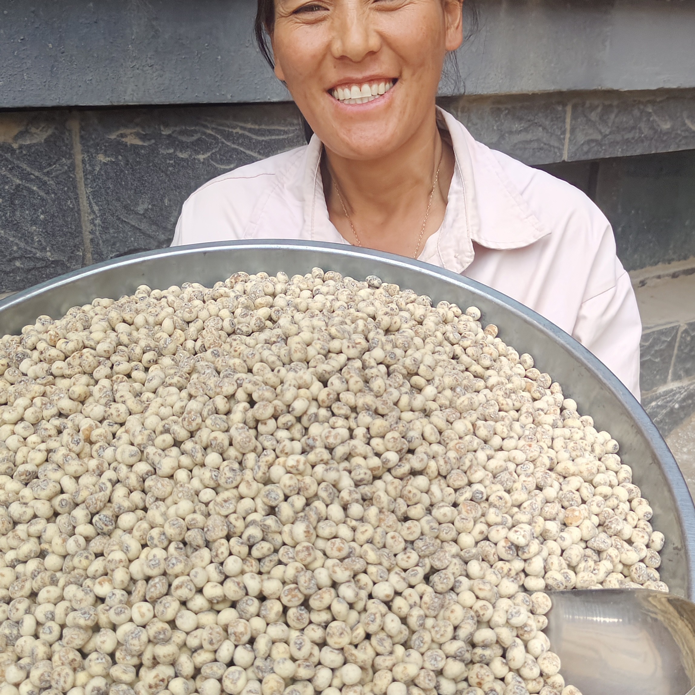 新疆兵团54团油莎豆虎坚果