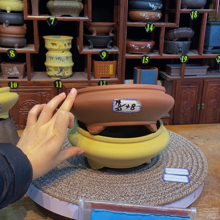 紫砂花盆紫砂花盆