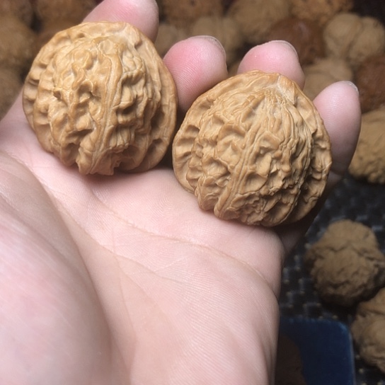 文玩核桃吊坠40白狮子文玩核桃