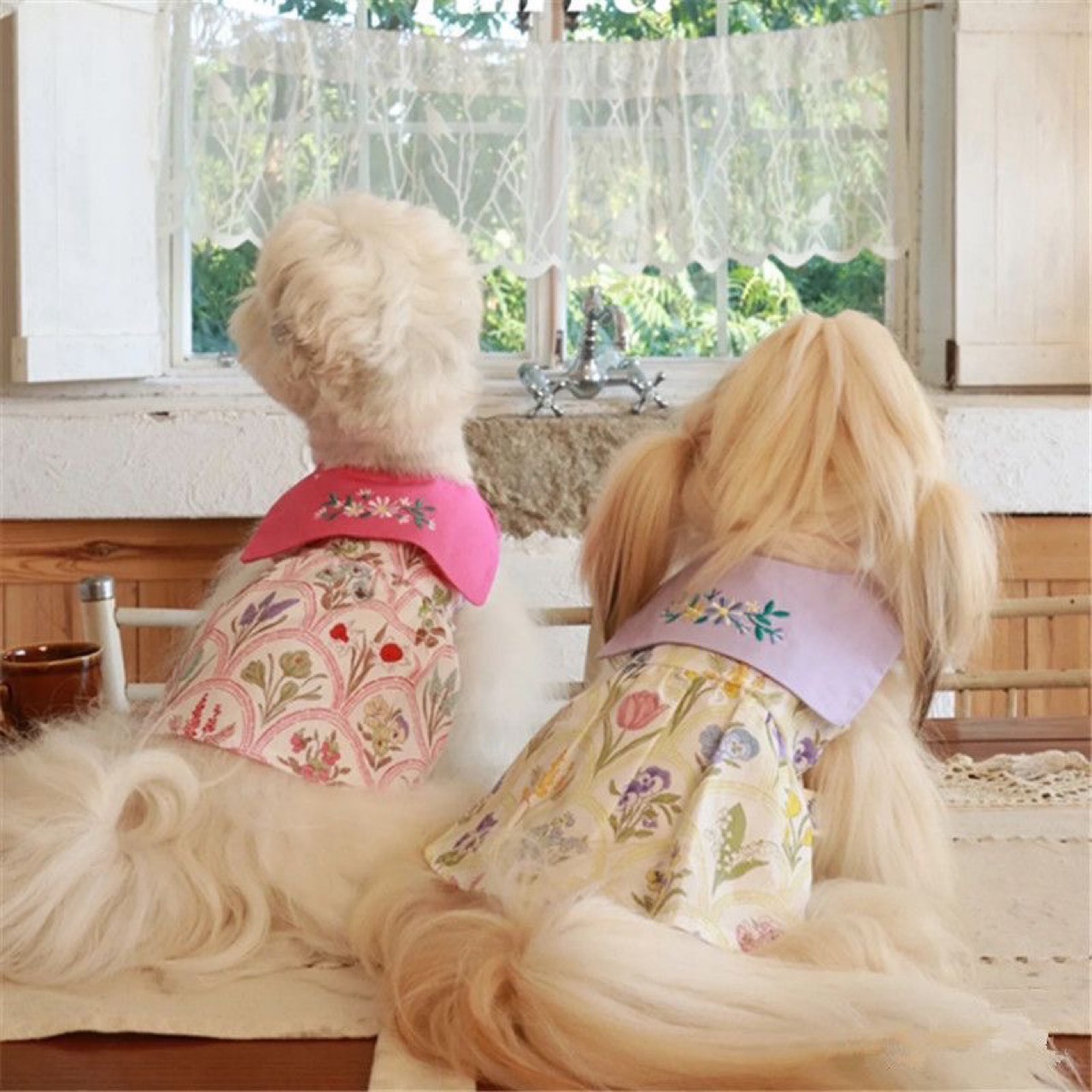 宠物服装西施犬马尔济斯雪纳瑞小型犬春夏秋鸢尾花裙子户外春秋游