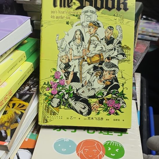 THE  BOOK 刷边书衣微瑕（务必塑封）