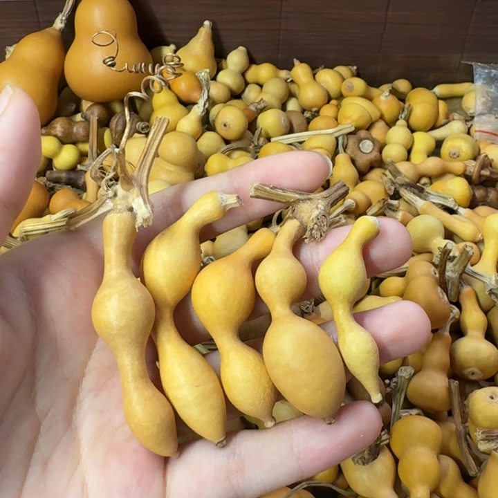 葫芦葫芦葫芦葫芦