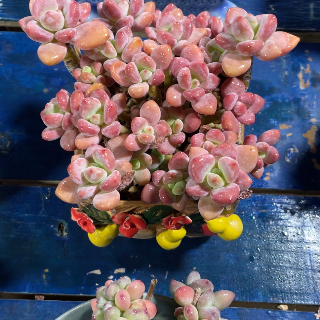 一物一拍中通快递