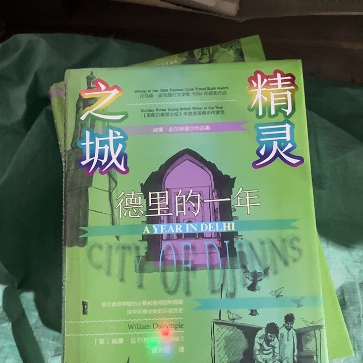 精灵之城微瑕图书
