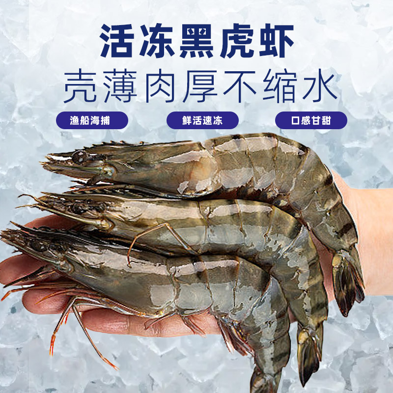 活冻黑虎虾.精品超大号黑虎虾活虾速冻超液氮冷冻保鲜