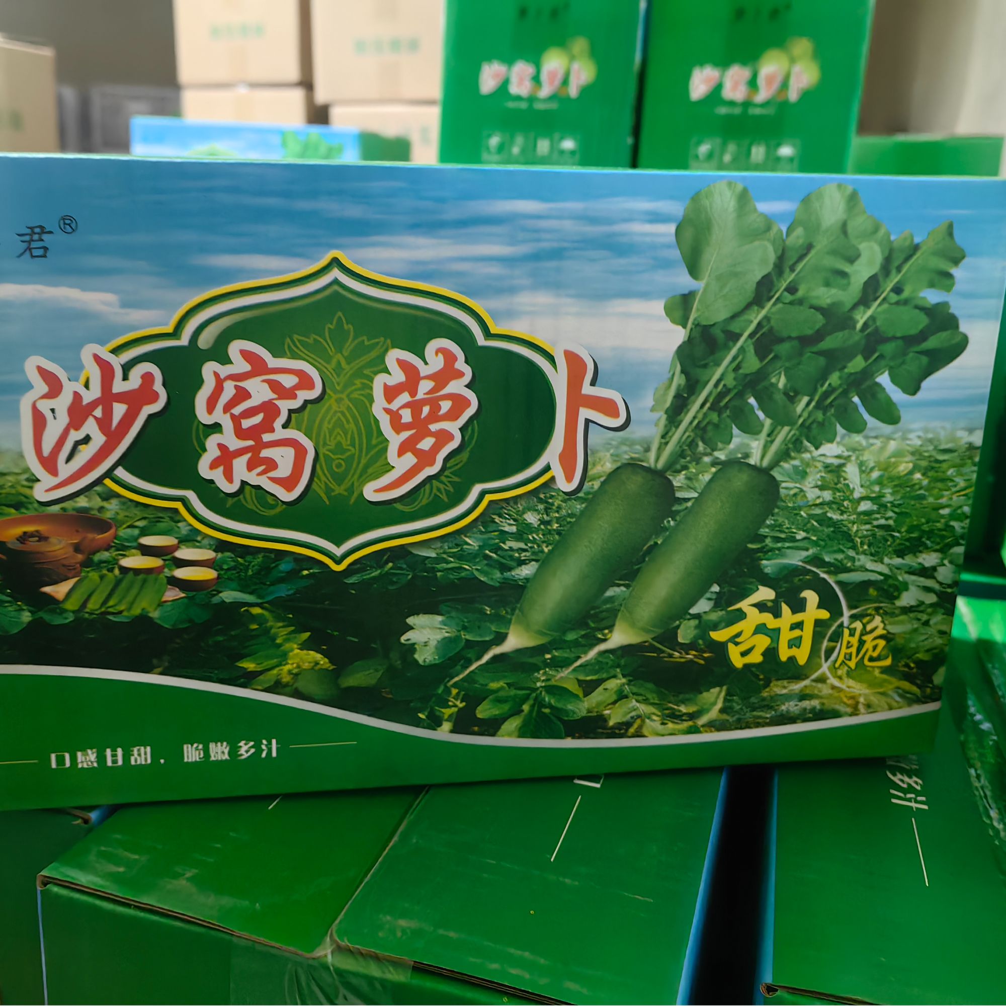 天津沙窝水果水果萝卜净含量5斤韵达申通快递发货