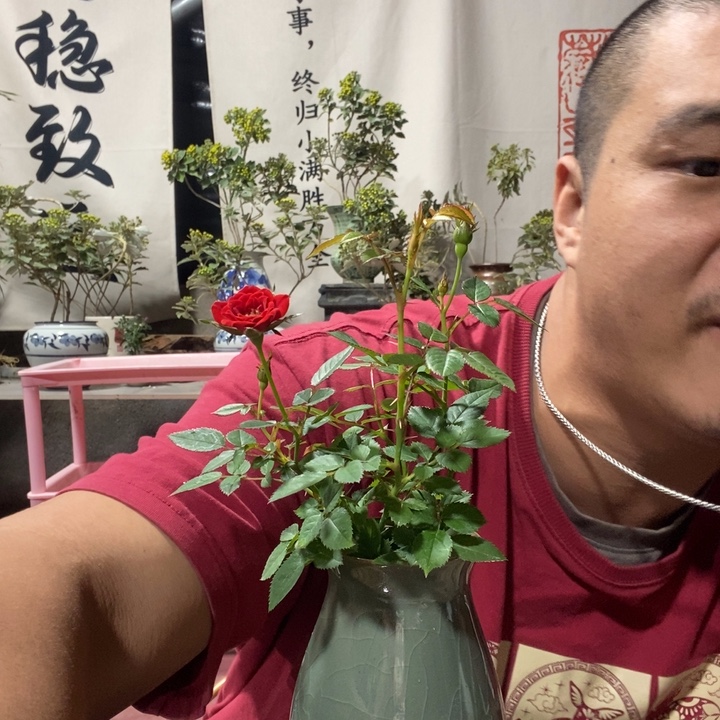 无花朵退款拉黑拉黑116