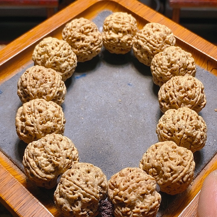 金刚菩提手串古龙梅花