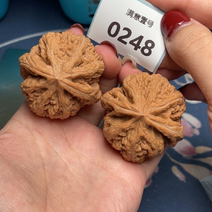 文玩核桃把件粗筋46