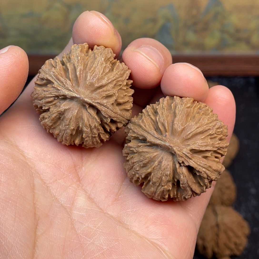 核桃3号链接333333