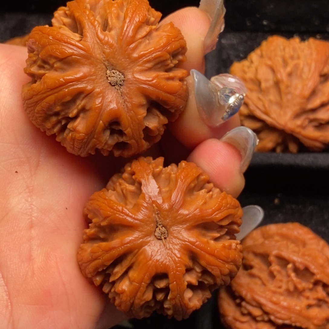 文玩核桃吊坠秦岭山脉核桃