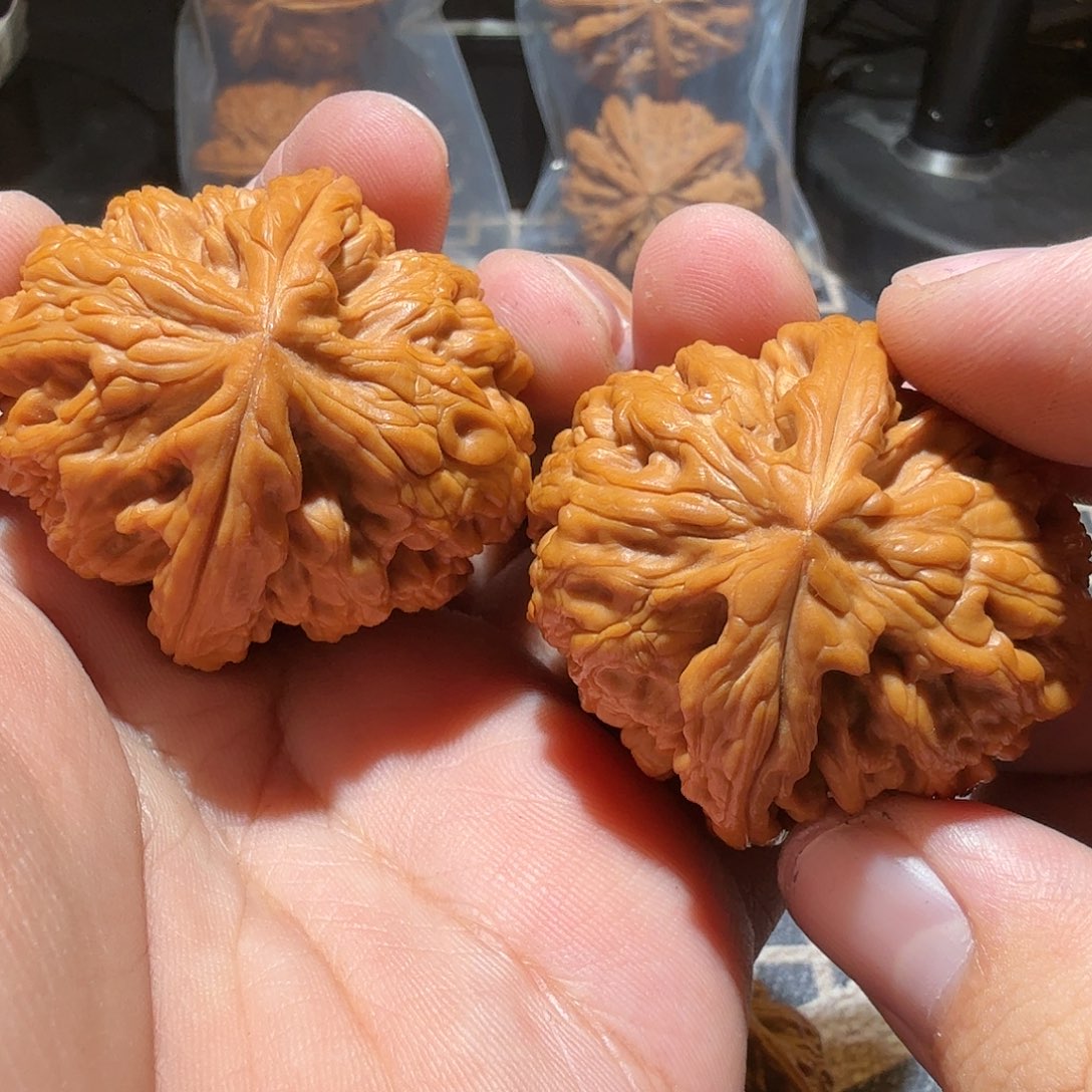 文玩核桃把件亓****育红锦鲤