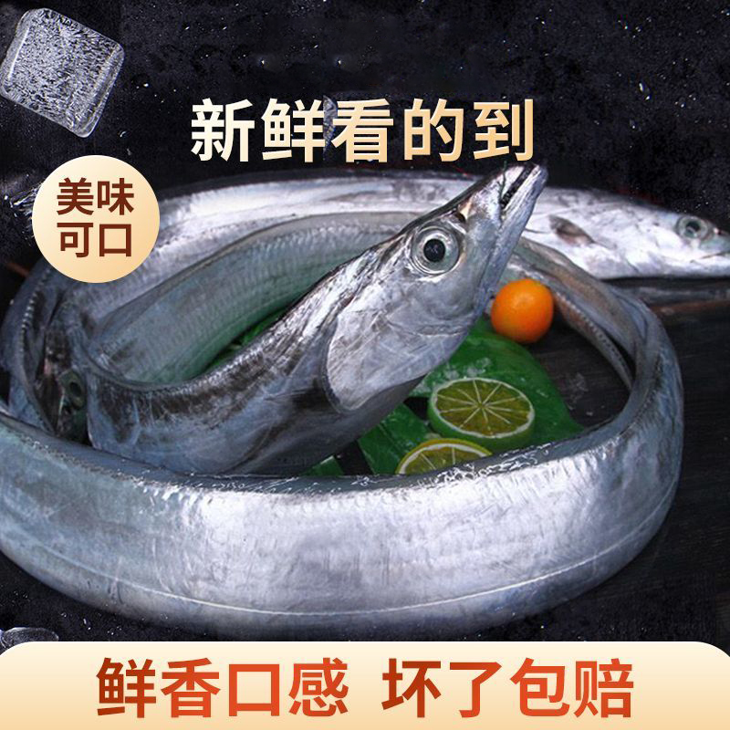 新鲜大带鱼整条 海钓宽带鱼 海捕冷链 标注重量为没杀前的重量