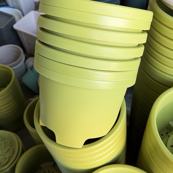 球根26口径10个无托果绿微瑕