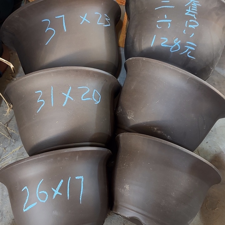 两套六只福利价     