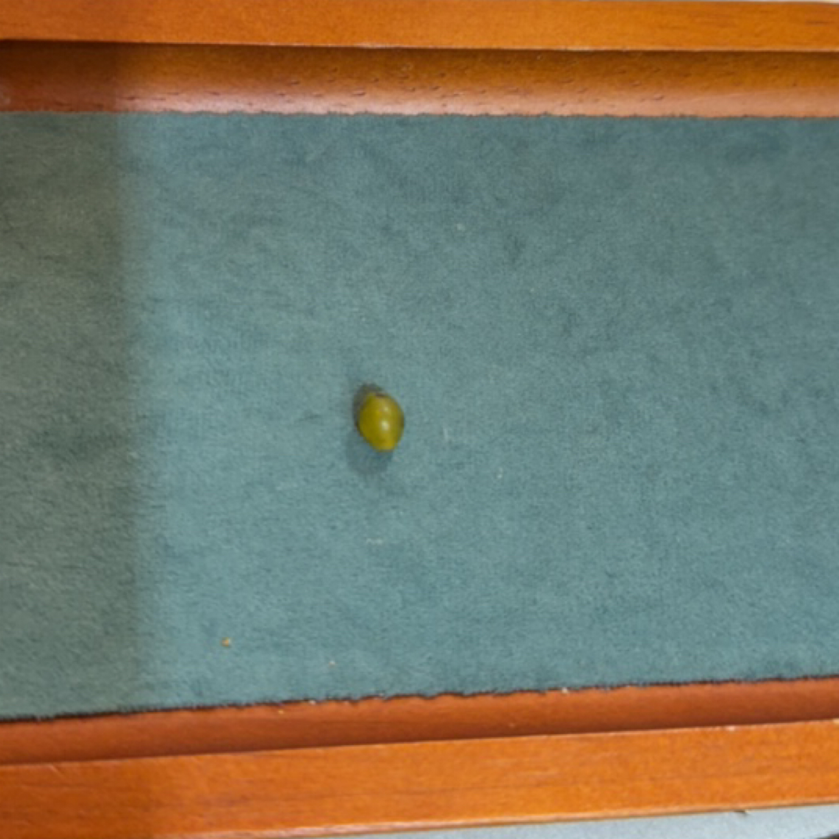 藏地密码，藏式珠子d20随机发