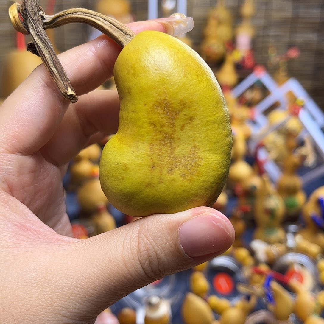 ?****河哈哈哈哈哈哈哈哈