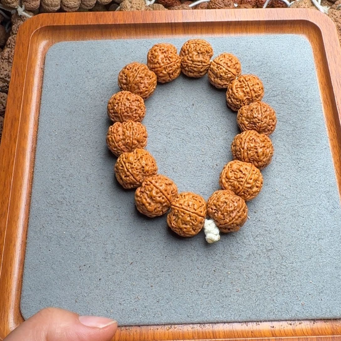 菩提菩提4号尼泊尔大金刚20满肉蜂窝