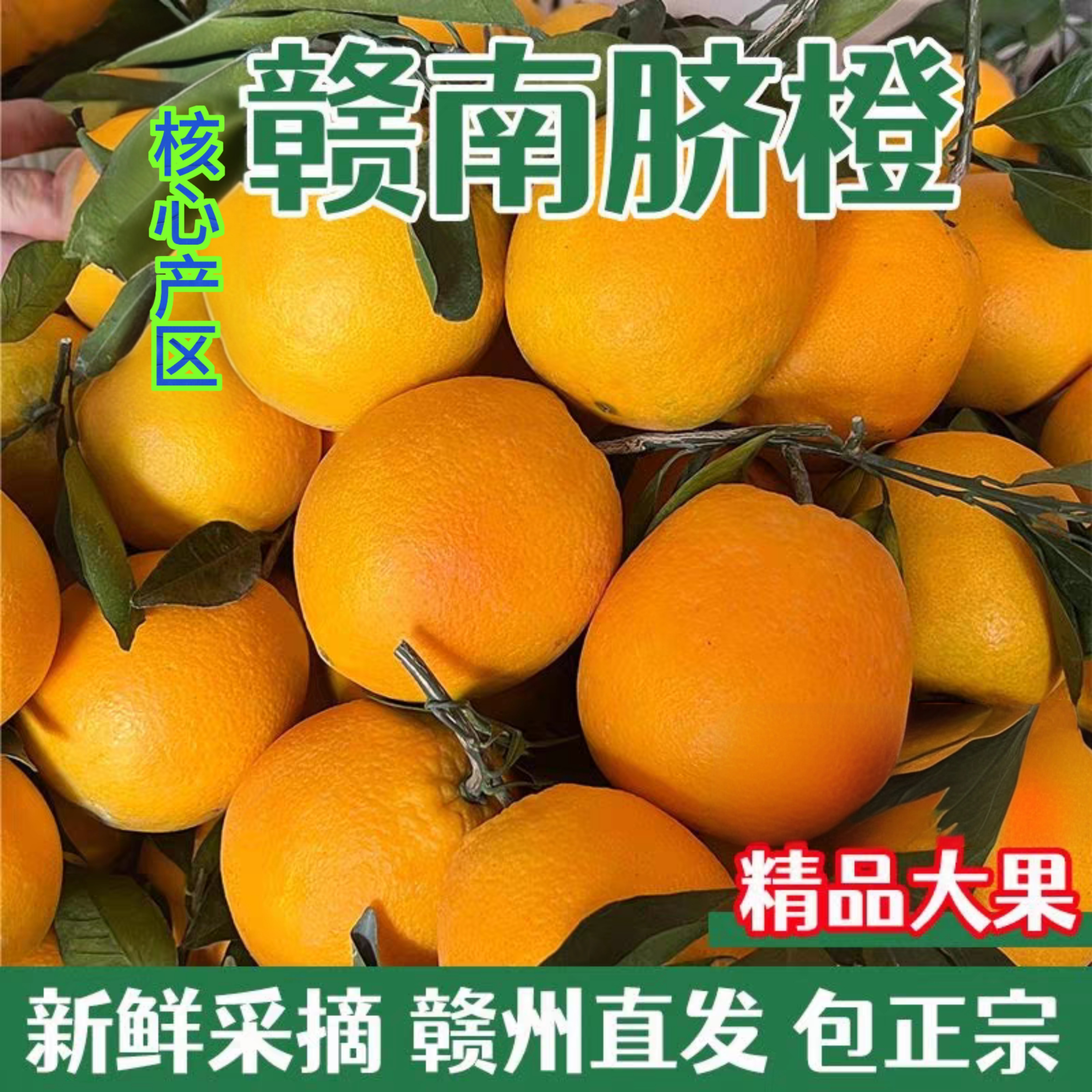 正宗赣南脐橙 新鲜精品 现摘现发 香甜多汁