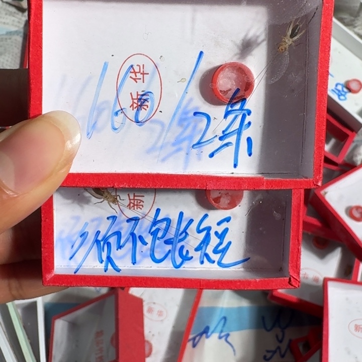 漁***頭蟋蟀蝈蝈我在外面吃饭1111111