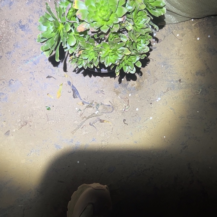法师一物一拍链接80
