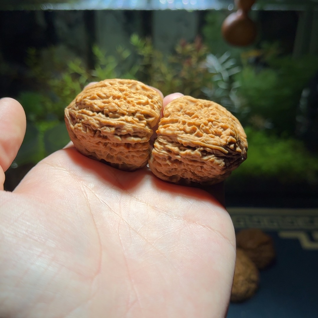 m****g409号39南疆石南疆石南疆石