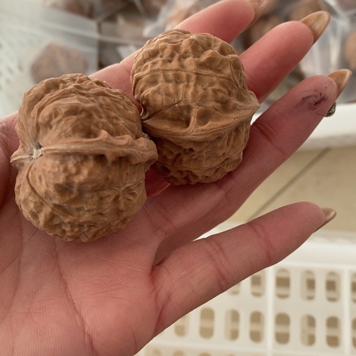 一***光南瓜炖南瓜炖南瓜炖