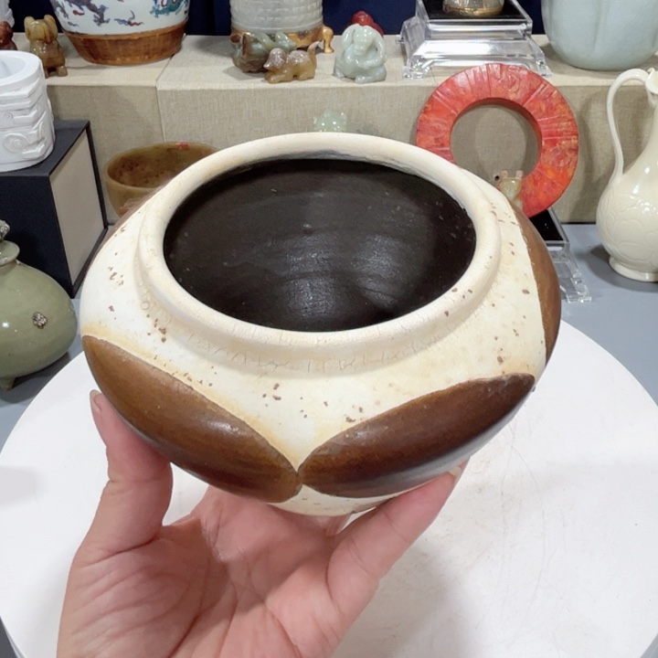 碟器型美观精致大方美观