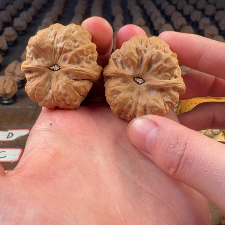 放***達吊坠文玩核桃蛤蟆头的形状是什么样的