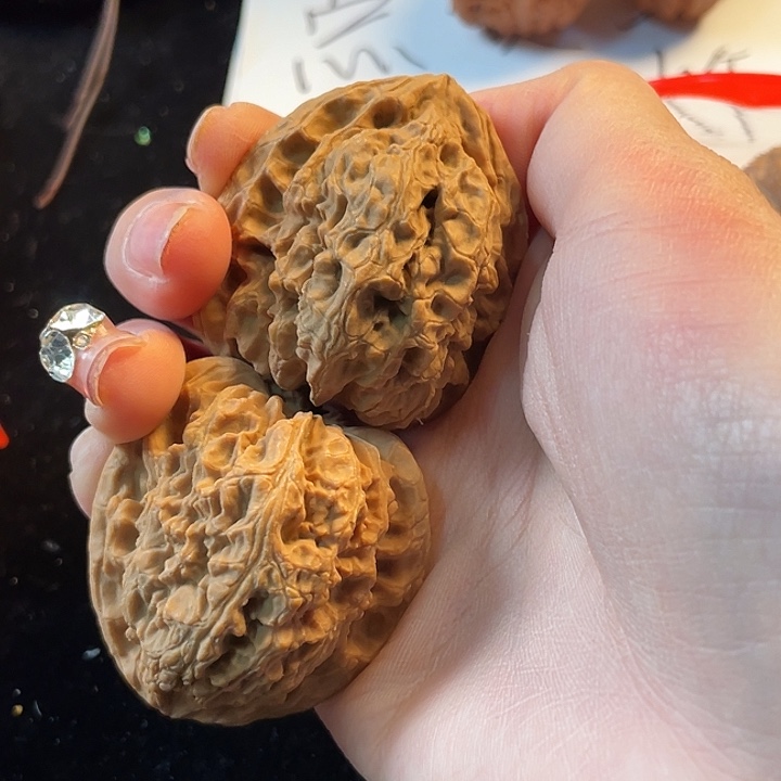 大叶紫檀（黑酸枝木类）