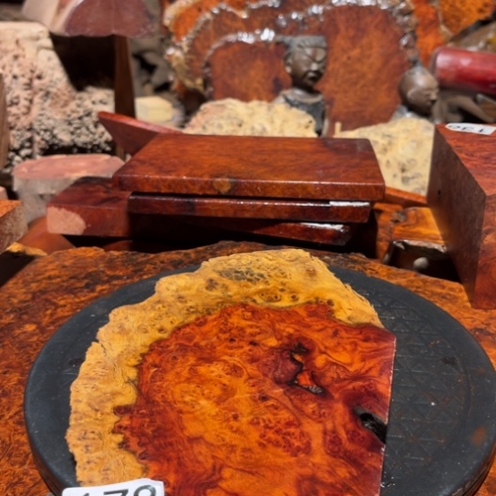 大果紫檀（缅甸花梨）