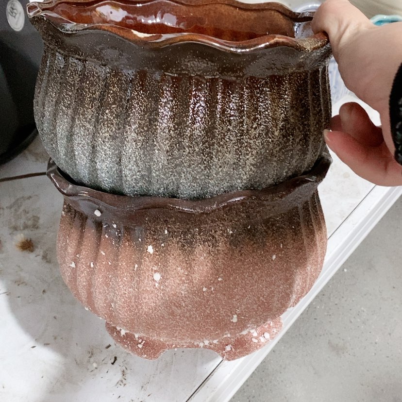 【闪购商品】红陶陶瓷花盆，多肉花盆