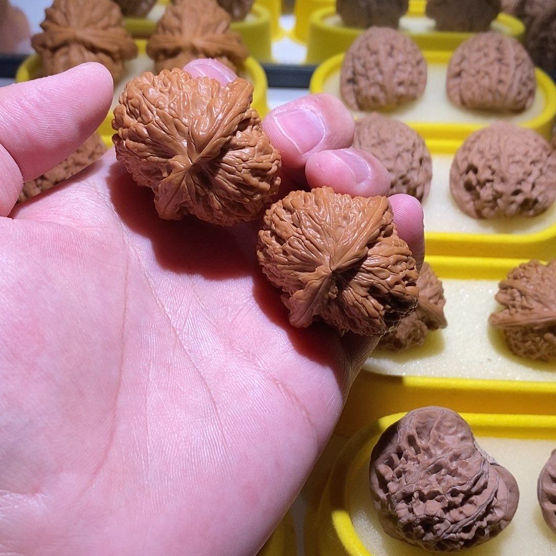 文玩核桃把件白狮子全品