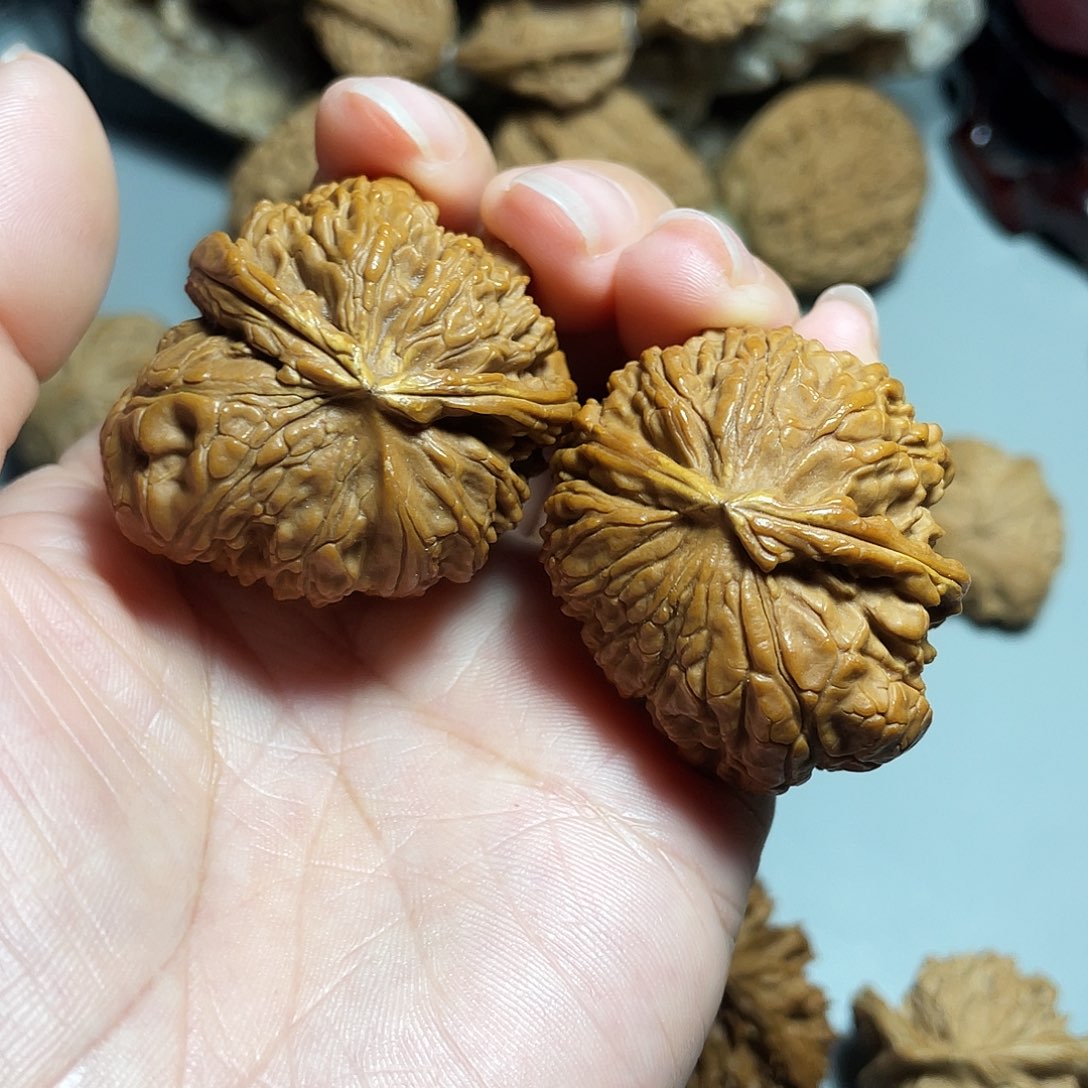 核桃手串/手链小****视精品白狮子飞蛇