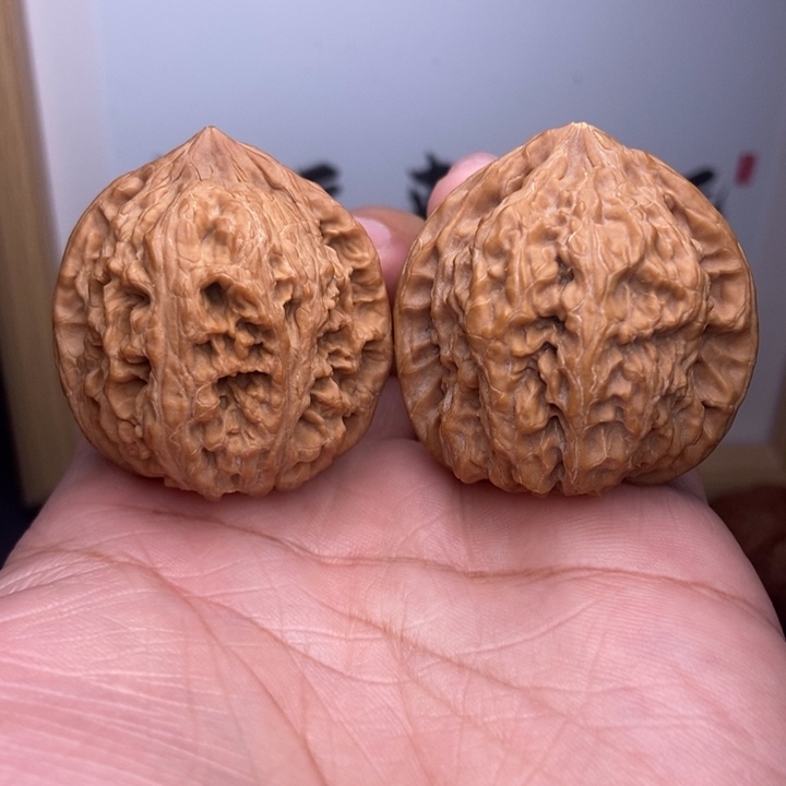 核桃全品千佛山小粗筋