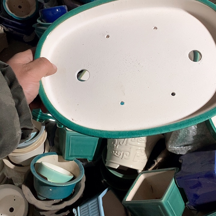 紫砂你要的是我不需要