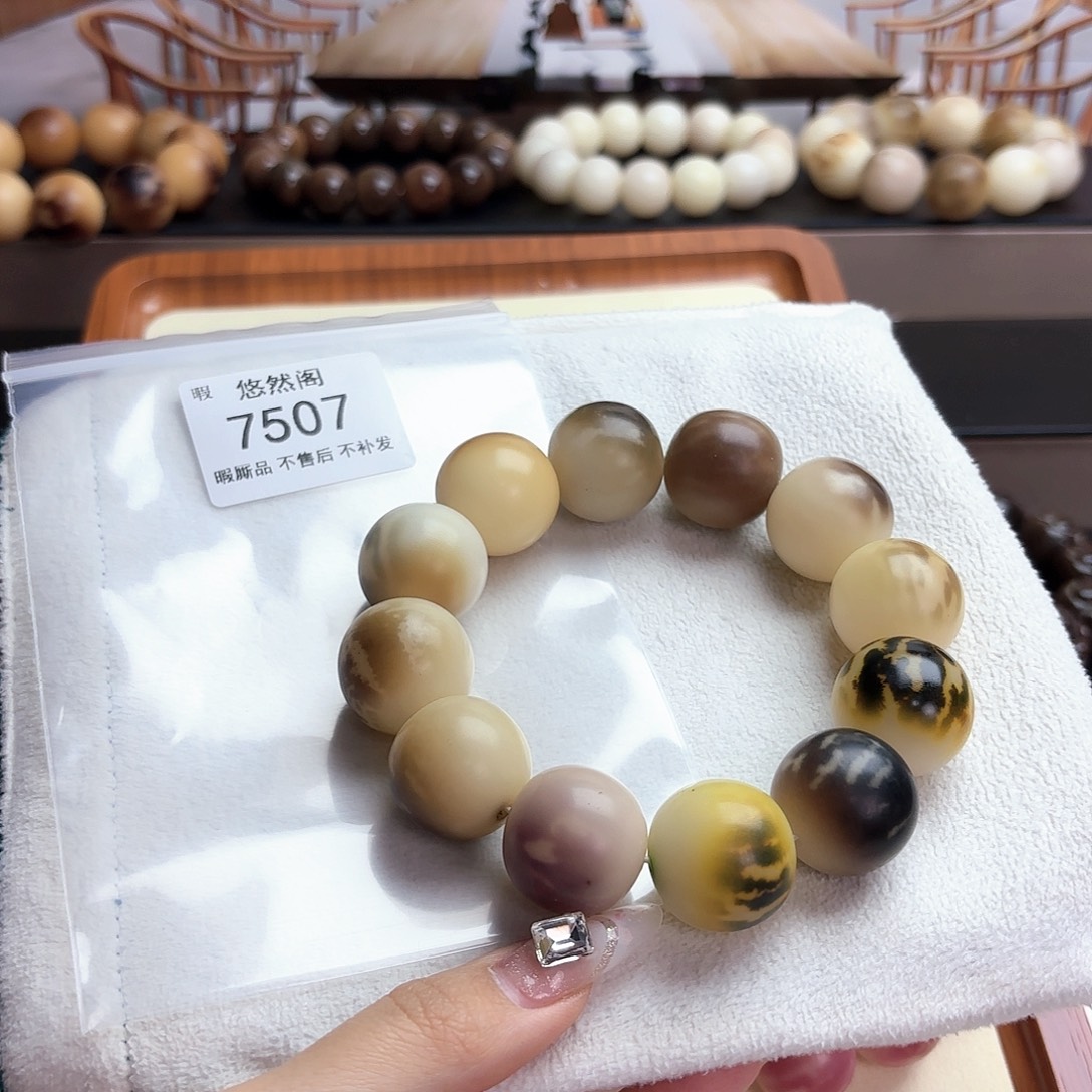 甲***吊坠菩提根/象牙果7507瑕疵不售后