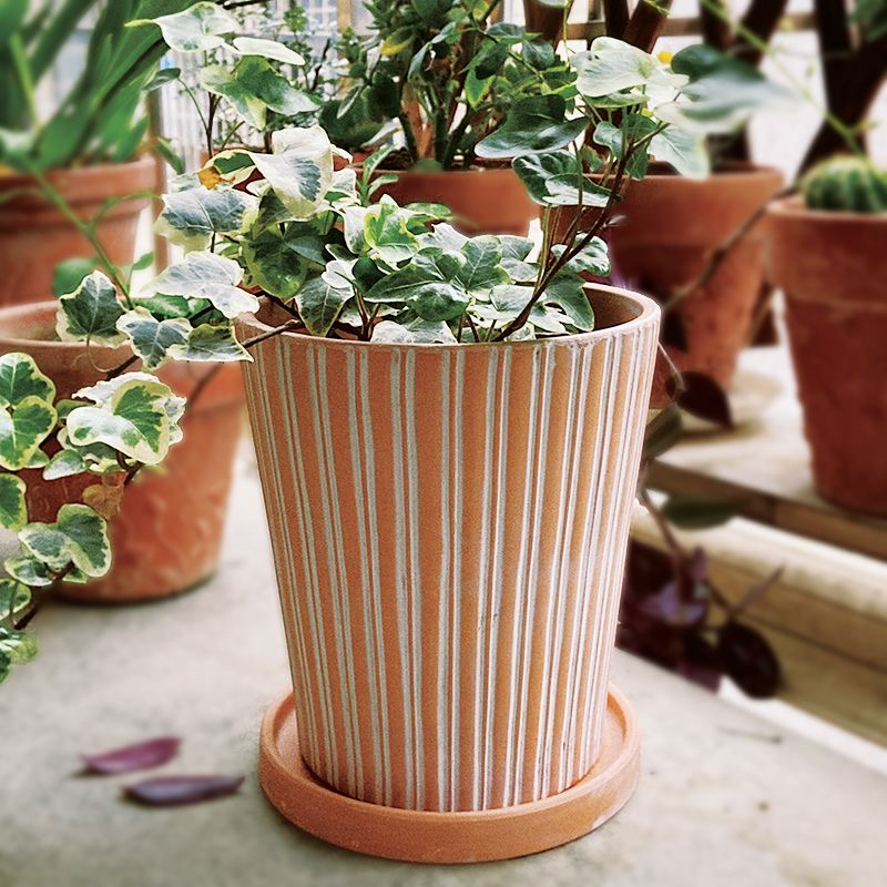 特价竖纹红陶花盆家用透气吸水保湿常青藤热带植物盆栽陶瓷花盆