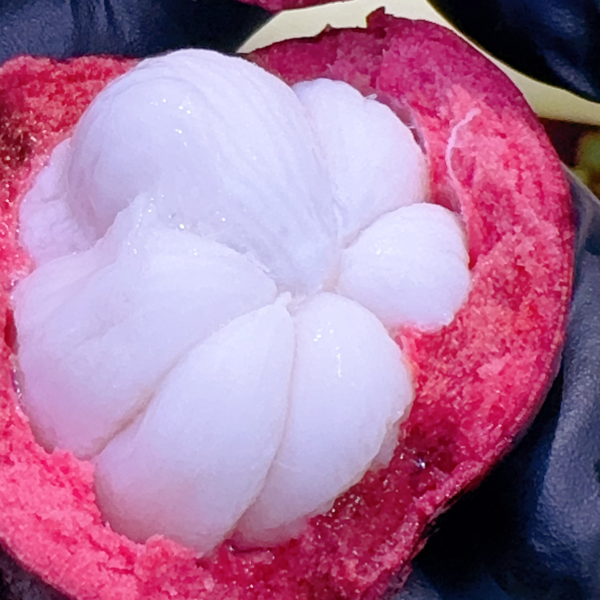 整果 山竹4A一份500克