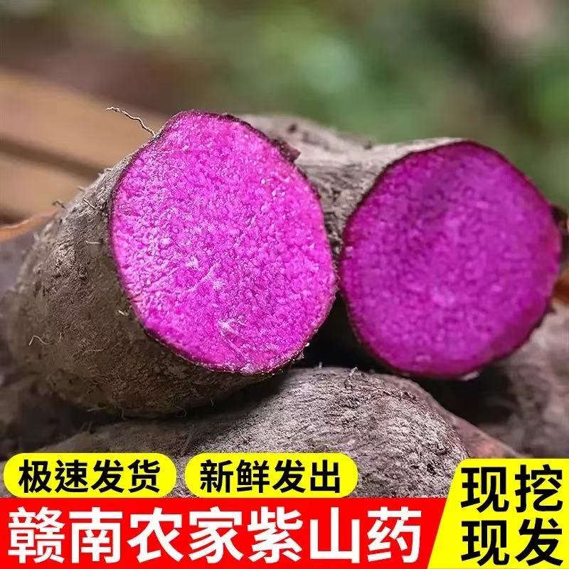 赣南新鲜现挖正宗紫山药脚板薯粉糯可口可煲汤蒸煮的特色蔬菜